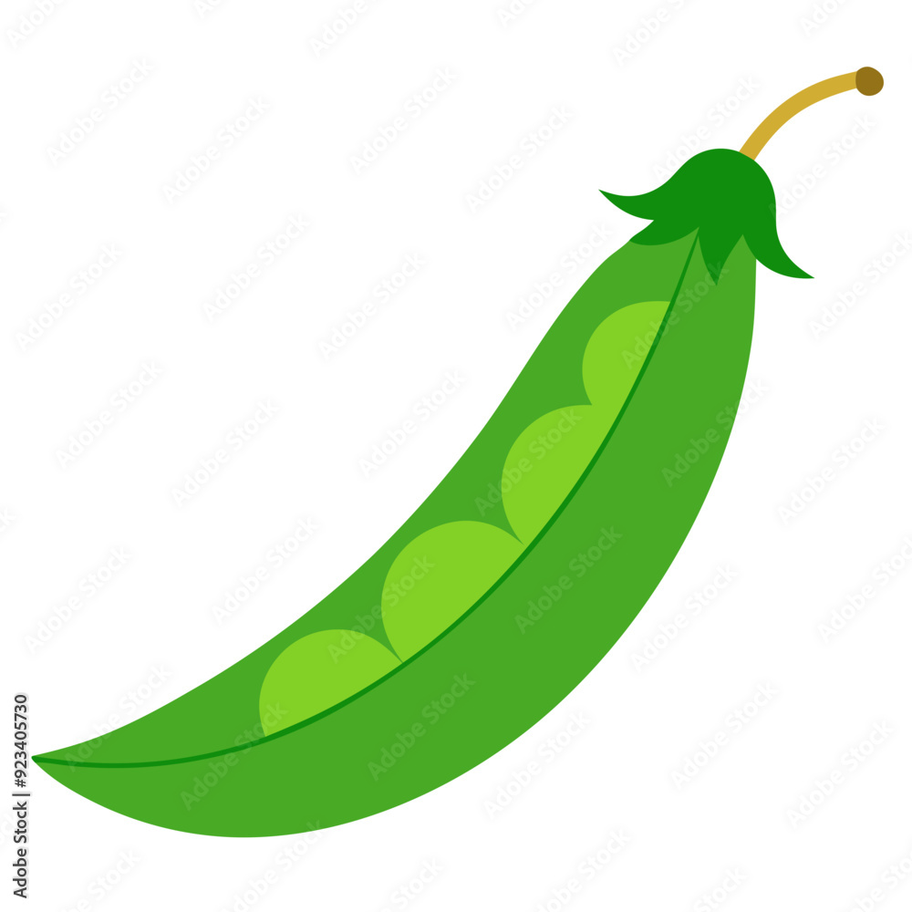 Green Pea Pod Vector Illustration Fresh Vegetable Healthy Food Concept Graphic Design Element Green Pea Pod Vector Illustration Fresh Vegetable Healthy Food Concept Graphic Design Element