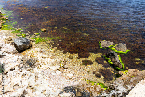 Rocky shoreline with algae near the Fishing port of Ravda, Nesebar municipality, Burgas Province, Bulgarian Black Sea coast photo