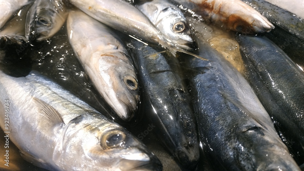 Fototapeta premium Fresh Mackerel Fish on Ice at a Market