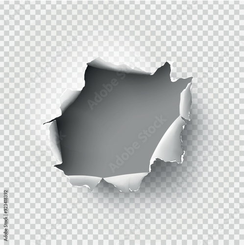 ragged Hole torn in ripped paper on transparent background