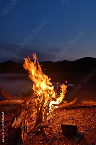 A cozy campfire burning brightly in the night , Camping