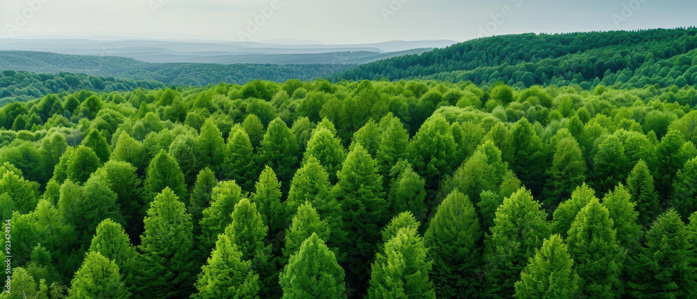 Fototapeta premium Serene nature background with lush green forests, trees