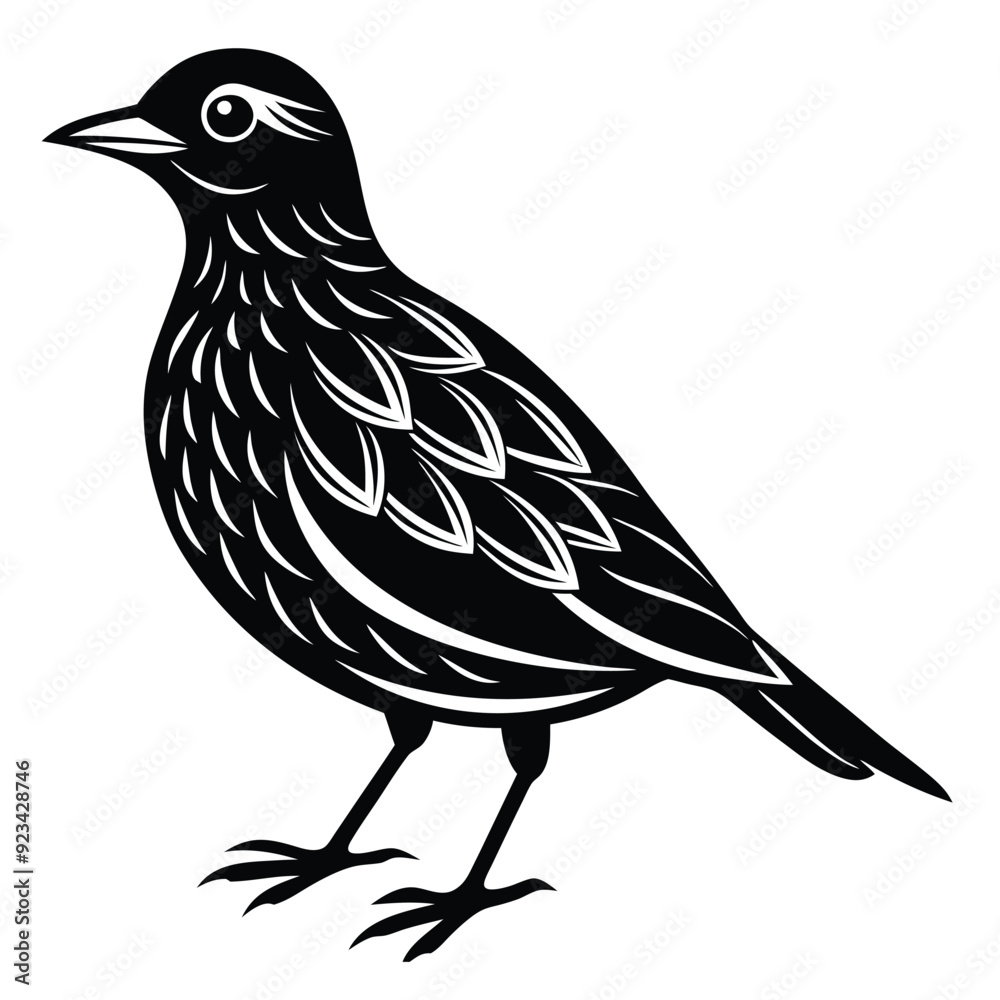 Fototapeta premium Bird silhouette vector art illustration set
