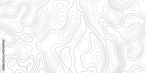 Very simple old topographical map with hight curves vector. Fish Fillet Texture, Salmon fillet texture, fish pattern.