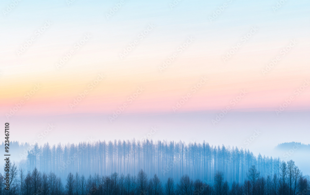 Serene forest with dreamy sky and foggy minimalist mood. Minimalist landscape conceptual image for backgrounds, ads or templates. Serene forest with dreamy sky and foggy minimalist mood. Minimalist landscape conceptual image for backgrounds, ads or templates.