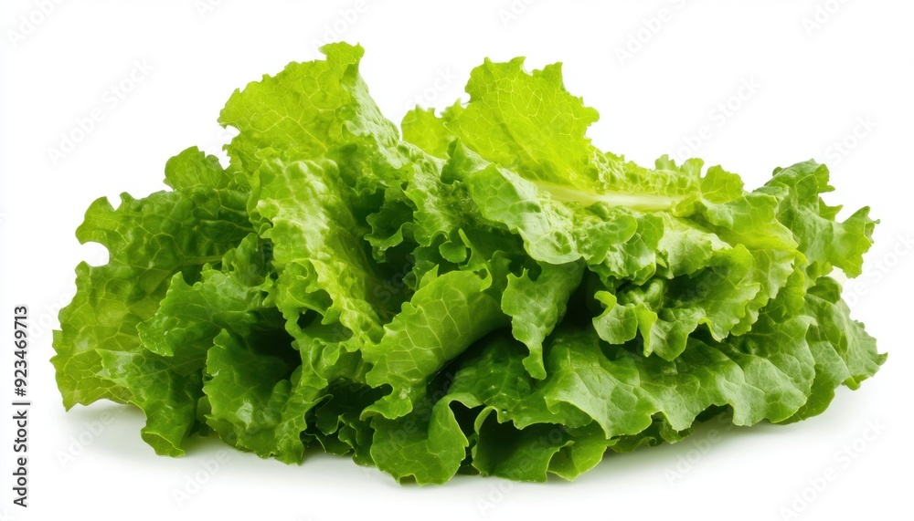 Fresh green lettuce on a white background ideal for salads and healthy meals Fresh green lettuce on a white background ideal for salads and healthy meals