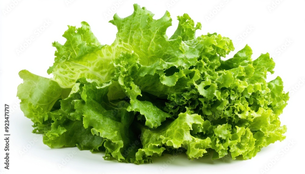 Fresh green lettuce on a white background with natural texture and vibrant color Fresh green lettuce on a white background with natural texture and vibrant color