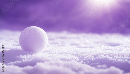 Snowball resting on a snowy field under soft purple light in a serene winter landscape