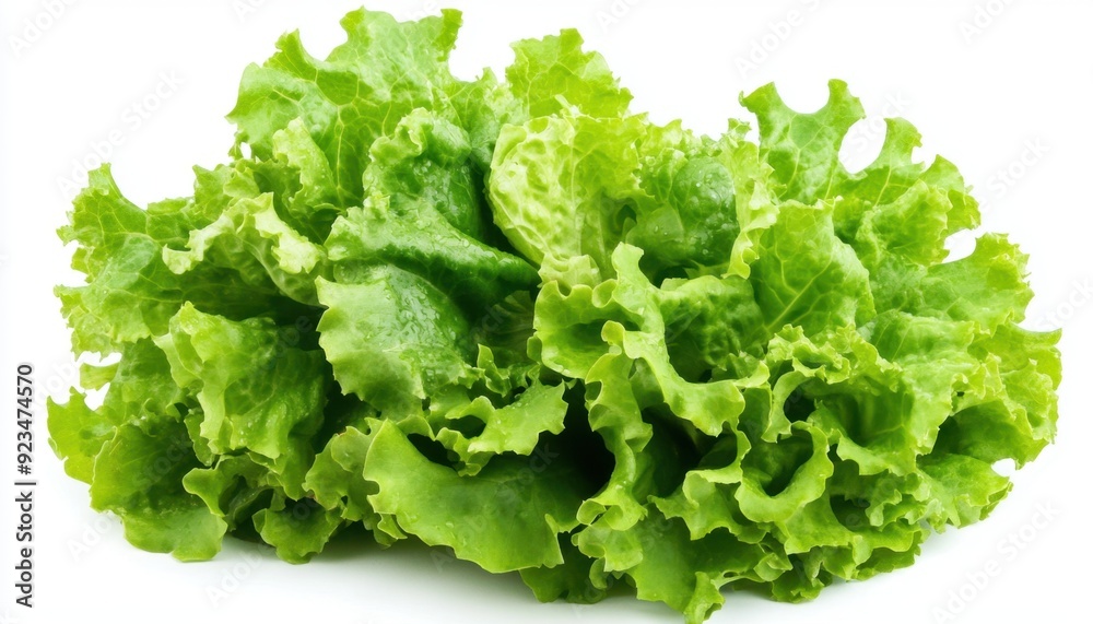 Fresh green lettuce head close-up on white background Fresh green lettuce head close-up on white background