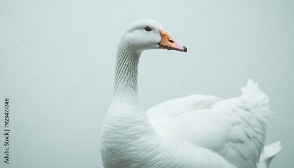 A white goose standing gracefully by the water's edge on a cloudy day