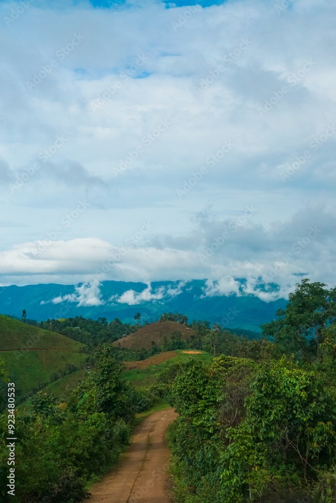A road winds through a forest with a view of mountains in the distance A road winds through a forest with a view of mountains in the distance