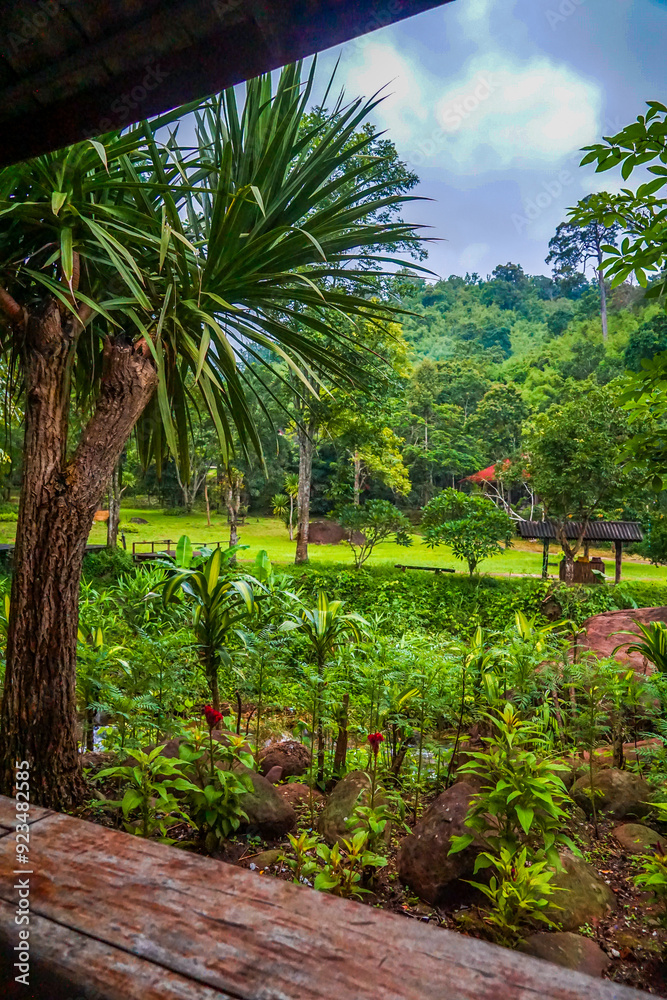 A lush green field with a tree in the foreground A lush green field with a tree in the foreground
