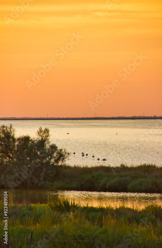 Splendid view of an orange sky right after the sunset in the lagoon, with herons in the water photo