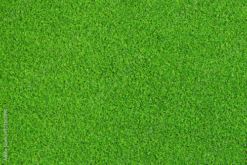 Wallpaper Mural Artificial grass, covering. Artificial green grass mat, top view. Texture. Background. Artificial turf, surface made of synthetic fibers. Flat green grass texture background. Short grass Torontodigital.ca
