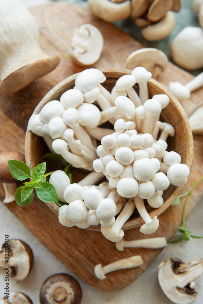 Assortment of various raw mushrooms on gray concrete background. Assortment of various raw mushrooms on gray concrete background.