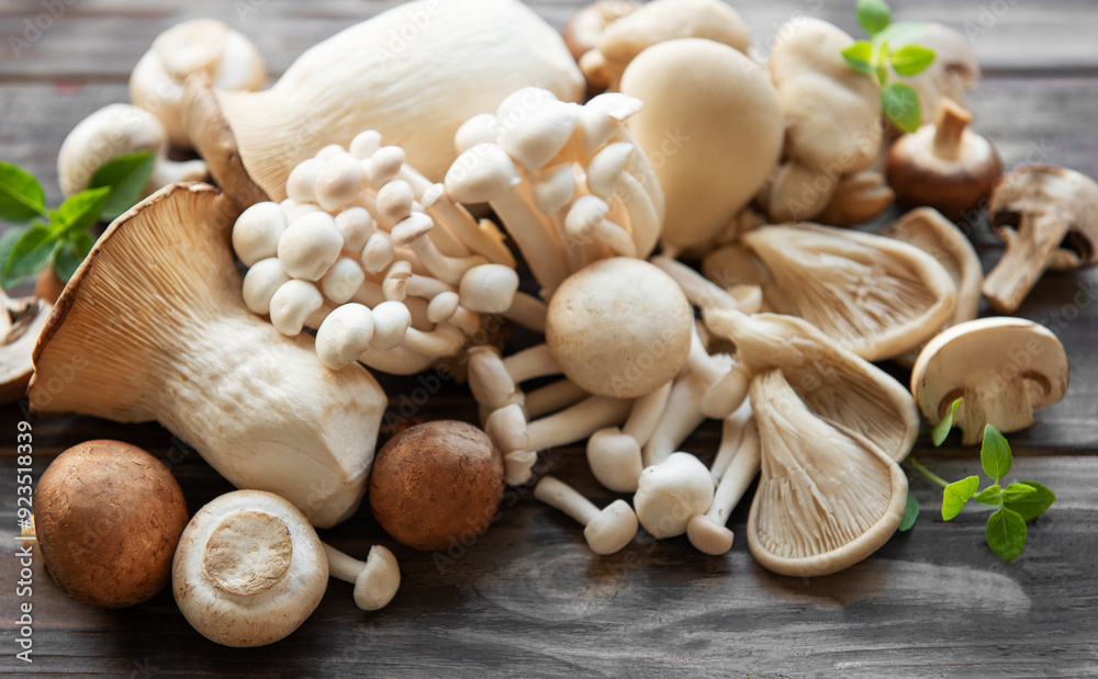 Assortment of various mushrooms Assortment of various mushrooms