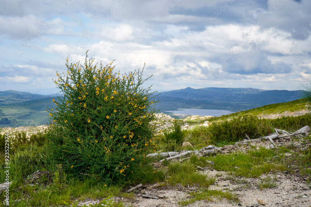 Views from Gerês Xures, Biosphere Reserve, Galicia, Spain