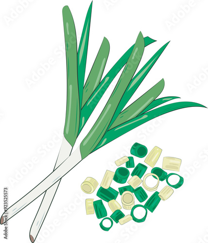 Chopped Green Onion Element Chives Slices Illustration Graphic Element Art Card
