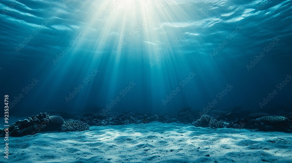 Underwater Ocean Scene with Sun Rays Underwater Ocean Scene with Sun Rays