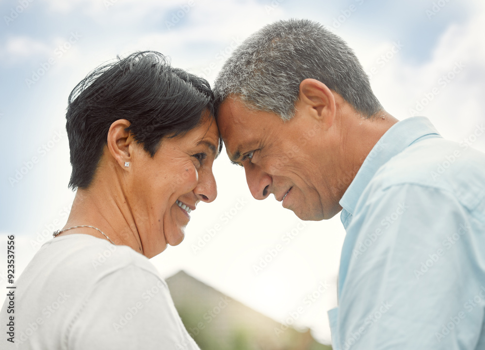 Love, forehead touch and mature couple in nature for romance, care or bonding. Smile, man and woman together outdoor for connection, commitment or support for healthy relationship on anniversary date Love, forehead touch and mature couple in nature for romance, care or bonding. Smile, man and woman together outdoor for connection, commitment or support for healthy relationship on anniversary date