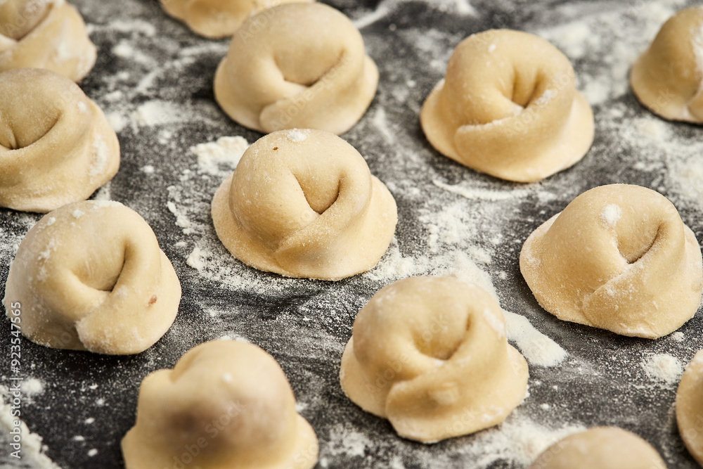 Handmade Ukrainian meat dumplings, ready for cooking, traditional varenyky with meat filling Handmade Ukrainian meat dumplings, ready for cooking, traditional varenyky with meat filling