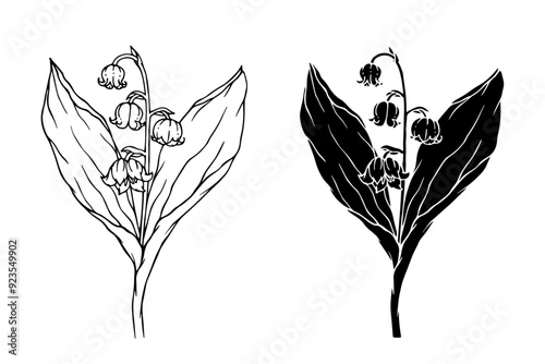Line sketch, silhouette of a spring flower lily of the valley. Vector graphics.
