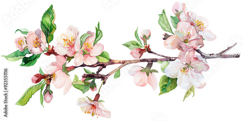 Spring floral green leaves and flowers branch isolated on transparent png background, greeting or wedding card decoration