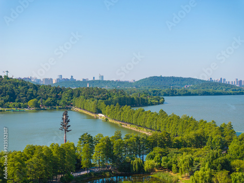 Summer scenery of Wuhan East Lake Scenic Area photo