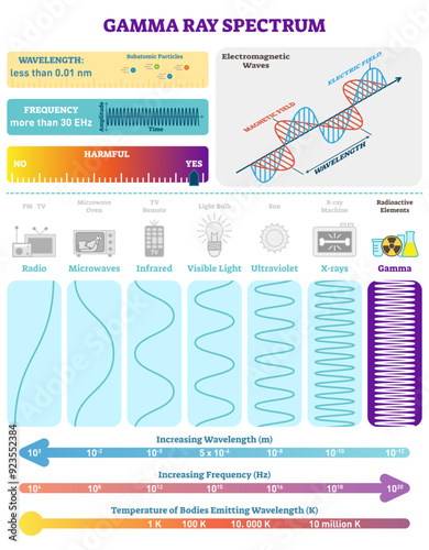 Electromagnetic Waves: Radioactive Gamma Rays Spectrum, transparent background. Vector illustration diagram with wavelength, frequency, harmfulness and wave structure. Science educational information.