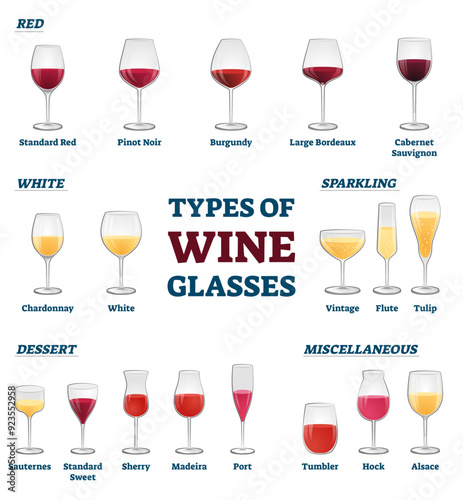 Types of wine glasses banner with educational labeled classification and example collection illustration, transparent background. Information about red, white, sparkling.