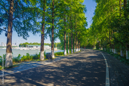 Summer scenery of Wuhan East Lake Scenic Area photo