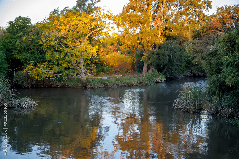 Fototapeta premium autumn trees reflected in water