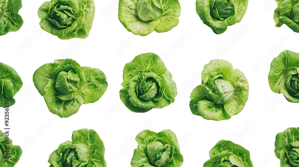 Lettuce transparent background Lettuce transparent background