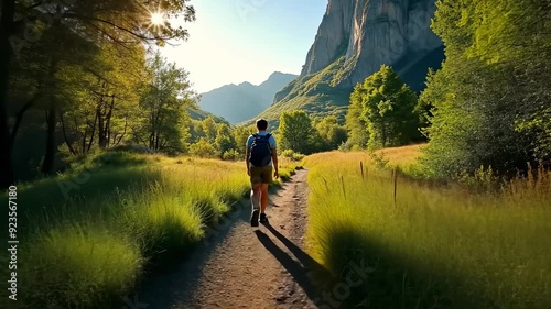 A man is walking down a path in a forest. The sun is shining brightly, casting a warm glow on the trees and the man. The scene is peaceful and serene