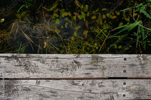 Boards of a wooden bridge. Top view of the water with underwater plants. Potamogeton nodosus or loddon pondweed leaves on the water surface. Ecological concept. Copy space.  photo