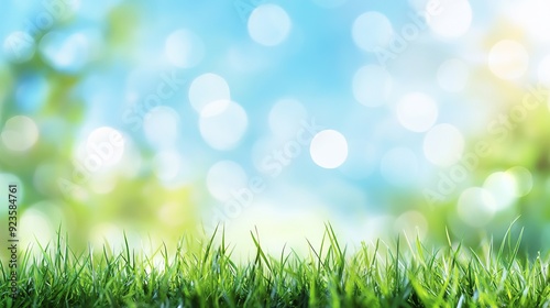 Fresh Green Grass Background