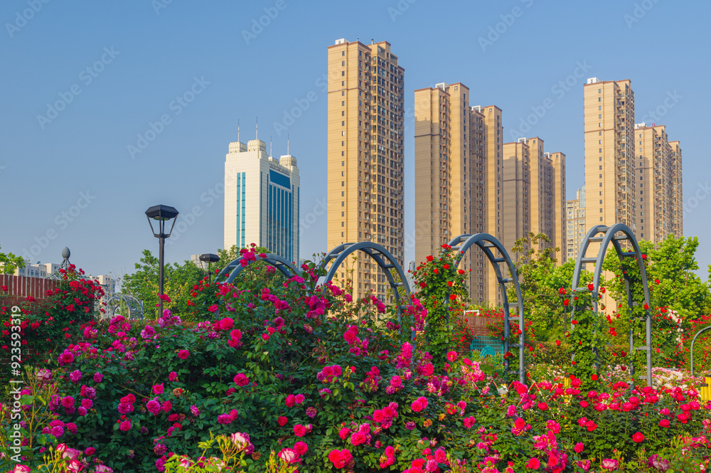 Spring scenery of Shahu Park in Wuhan Spring scenery of Shahu Park in Wuhan