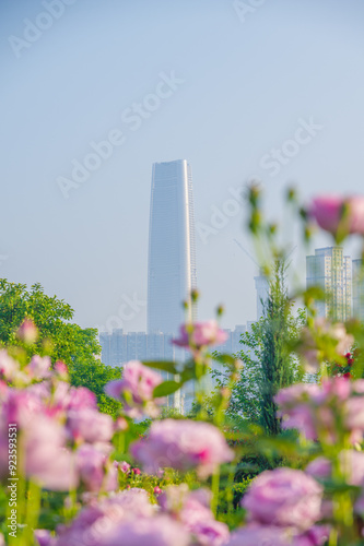 Spring scenery of Shahu Park in Wuhan photo