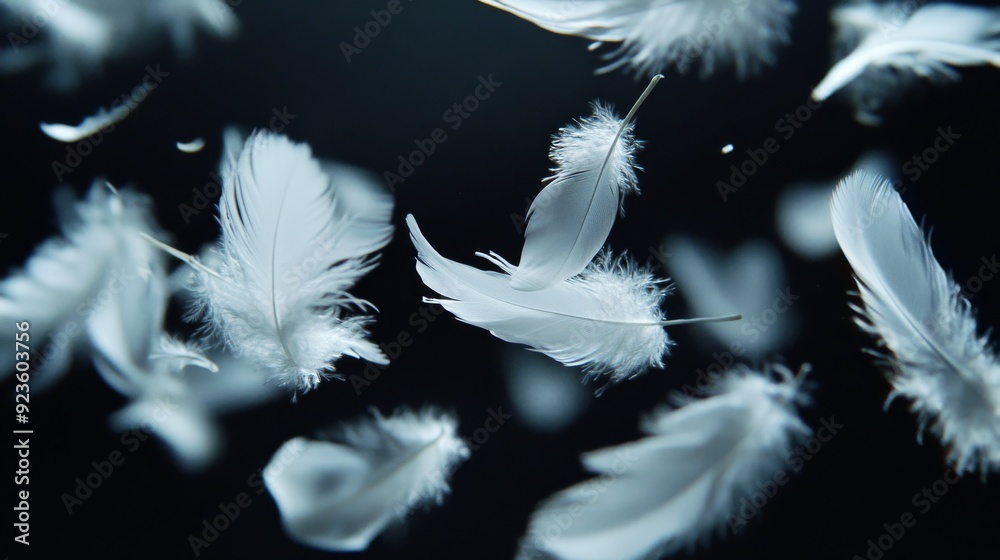 Obraz premium Soft, light white feathers falling in the dark.