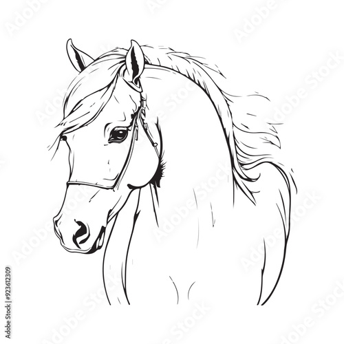 line art horse on white background. sketch style. Vector graphic icon animal.