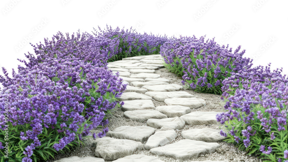 Obraz premium PNG Lavender path serene garden