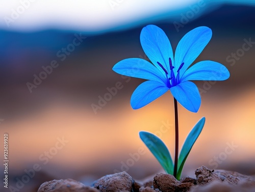 A vibrant blue flower blooms against a softly blurred background, highlighting its delicate petals and green leaves.