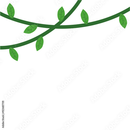 Jungle frames. Green vine. Tree foliage. Rainforest liana. Cartoon plants. Creeper branch. Grass and wood leaf signs.