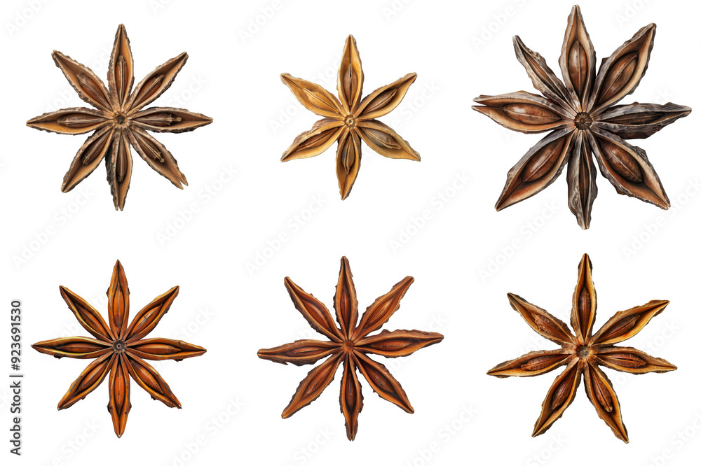 Six Star Anise Spices Isolated on White Background Six Star Anise Spices Isolated on White Background