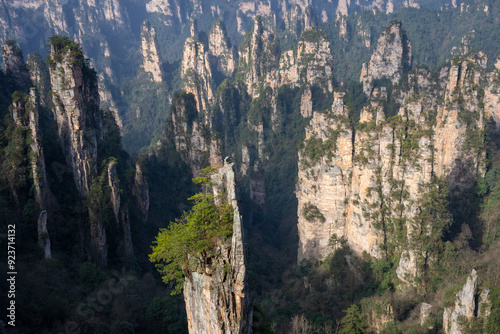 Sandstone pillars at the Zhangjiajie National Forest Park