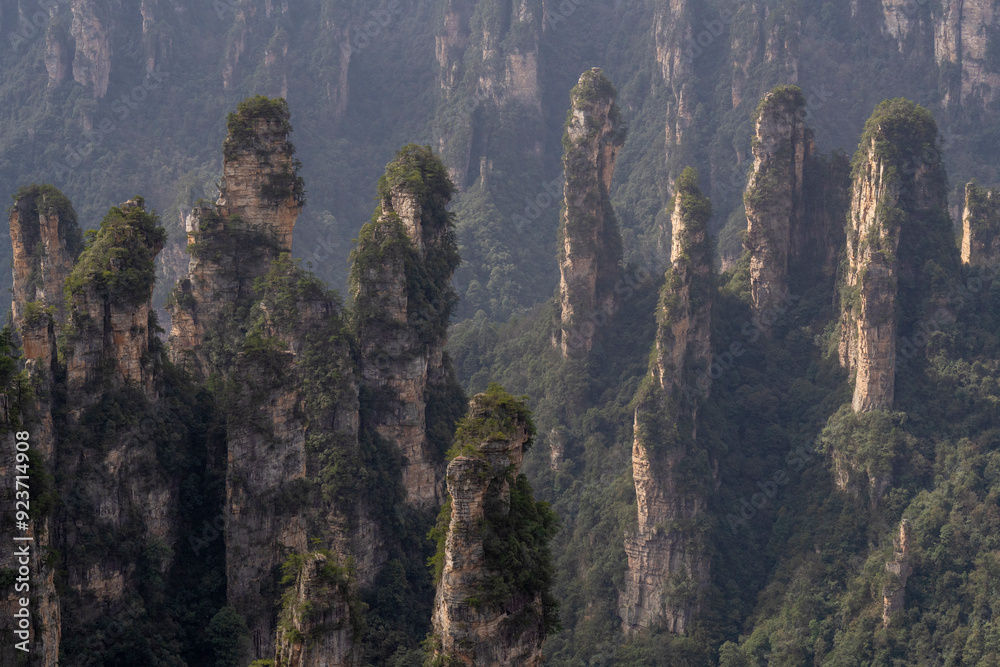 Fototapeta premium Sandstone pillars at the Zhangjiajie National Forest Park