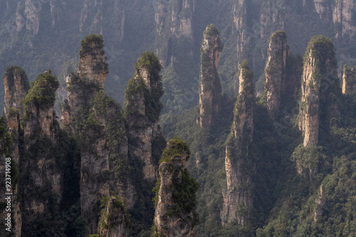 Sandstone pillars at the Zhangjiajie National Forest Park