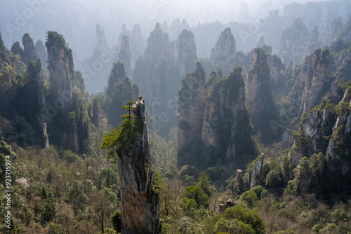Sandstone pillars at the Zhangjiajie National Forest Park