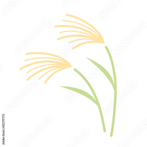 ススキのイラスト