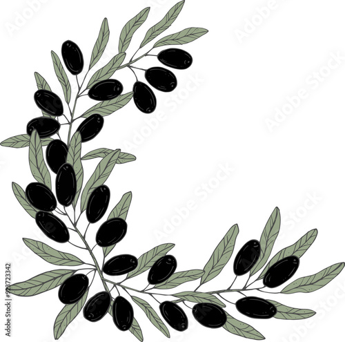 Graphics vector botanical black and green frame with olive branches